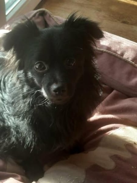 Jul - sucht liebevolle Menschen