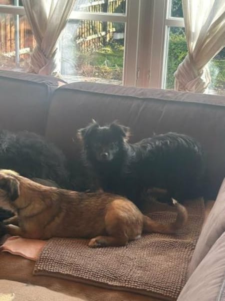 Jul - sucht liebevolle Menschen