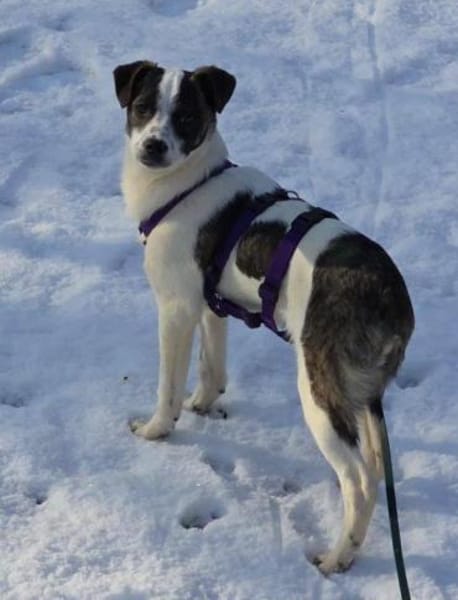 süße Ulla auf PS in 90475