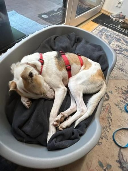 Winnie auf PS bei Mannheim sucht Dich ❤