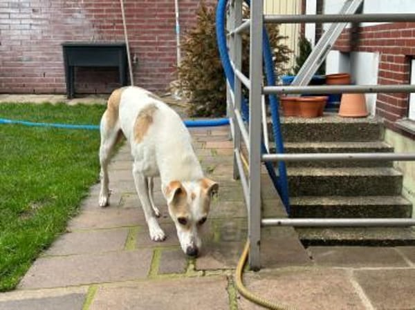 Winnie auf PS bei Mannheim sucht Dich ❤