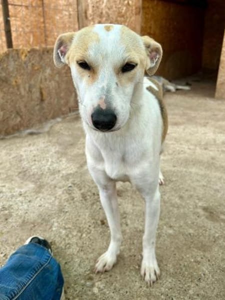 Winnie auf PS bei Mannheim sucht Dich ❤