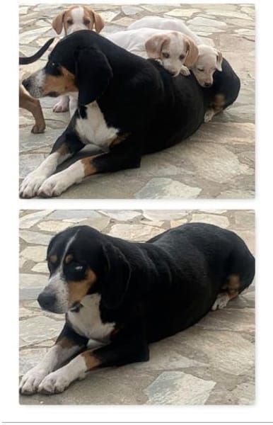 Mama Ramona sehnt sich nach Liebe