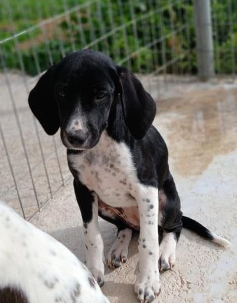 Kirki einfach bezaubernd