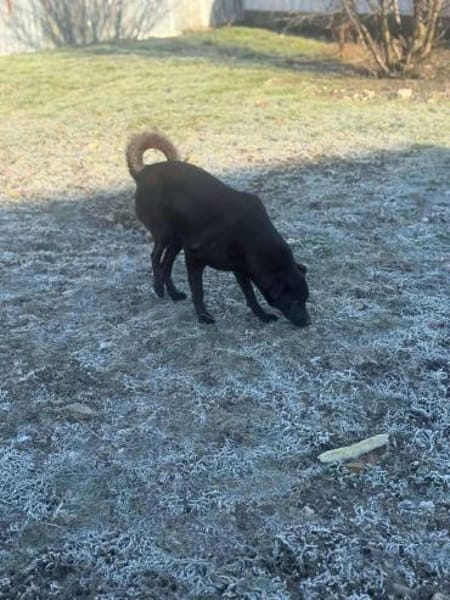 Yana, zarte Schönheit sucht ....