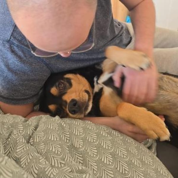 ZAKO sucht Für-Immer-Zuhause ❤