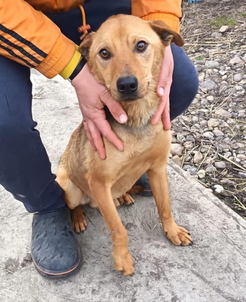 Charmanter Neo will nur Liebe