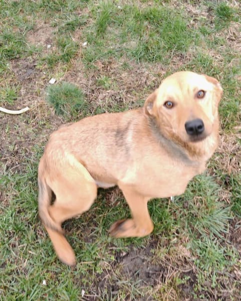 Charmanter Neo will nur Liebe