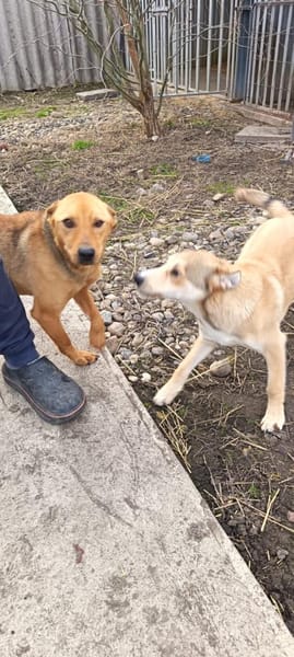 Charmanter Neo will nur Liebe