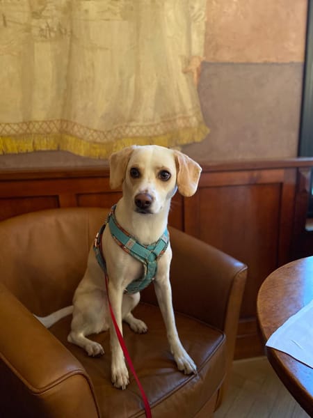 Luna, sportlich und verspielt