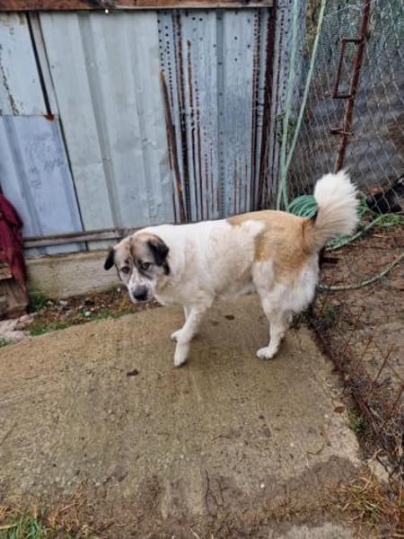 Luna, darf ich bei Euch glücklich sein?