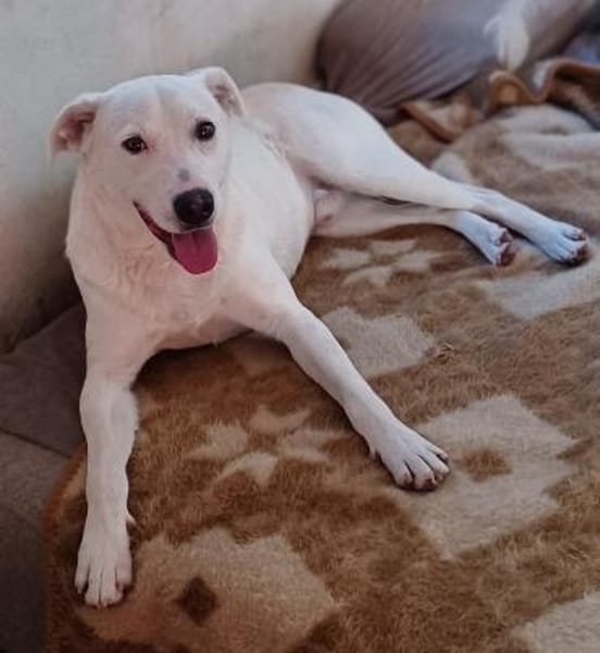 Edo  aufgeschlossen und neugierig