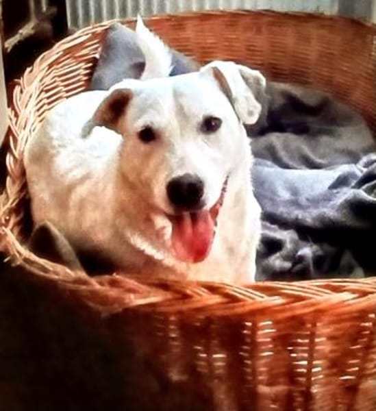 Edo  aufgeschlossen und neugierig