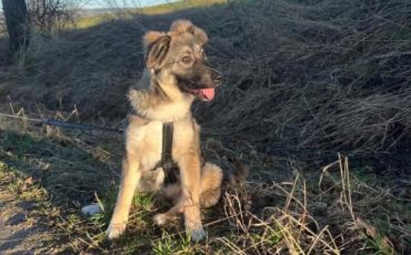 Eyra freut sich auf ihr neues Leben