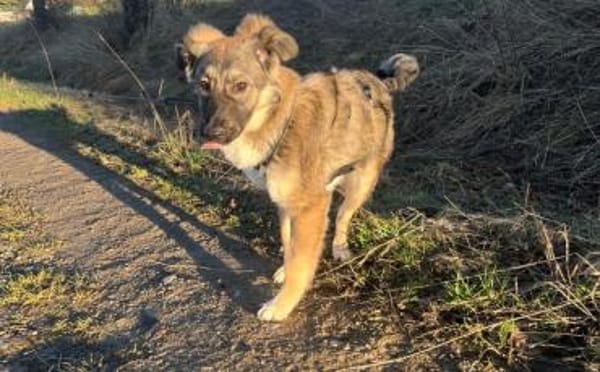 Eyra freut sich auf ihr neues Leben