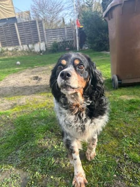 💕Fariba💕 sucht ihre Menschen💕