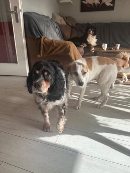 💕Fariba💕 sucht ihre Menschen💕