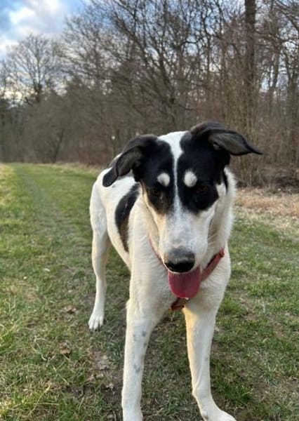 Aury, 12/2024, 33142 Büren-Wewelsburg