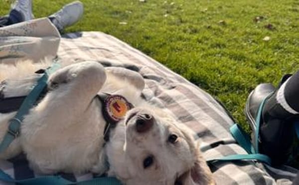 Mallow sucht seine Familie