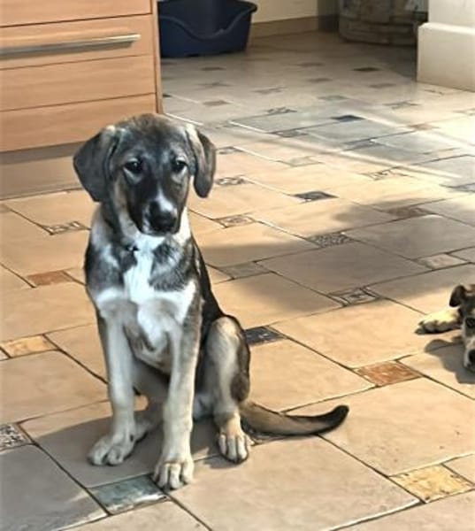 ARLO - braucht Sicherheit