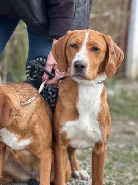 Mari auf der Suche nach ihrem Glück