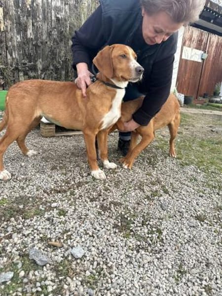 Mari auf der Suche nach ihrem Glück