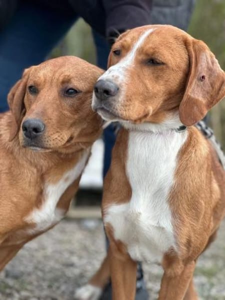 Mari auf der Suche nach ihrem Glück