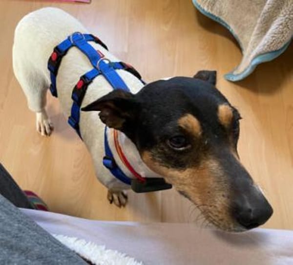 Bodega1 sucht ein Zuhause