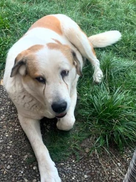 SINJA -souverän und liebevoll-