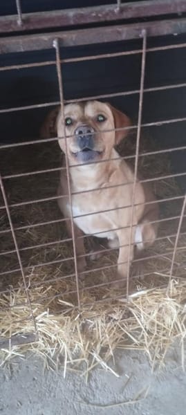 Borris möchte auf Tour gehen