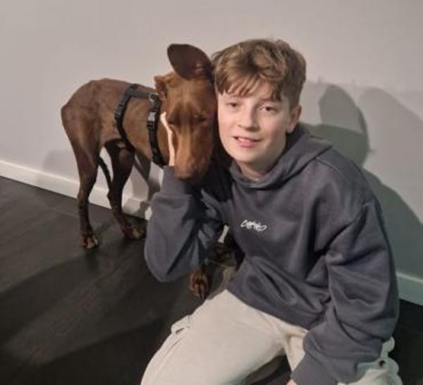 FOSKITO - SOS - in 47506 Neukirchen!