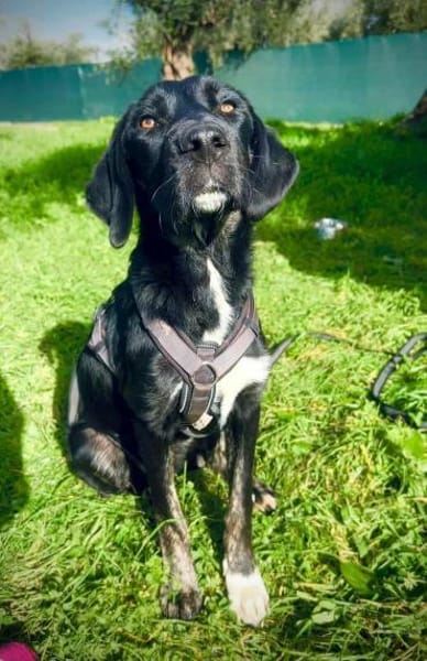 Moana sucht sportliche Menschen