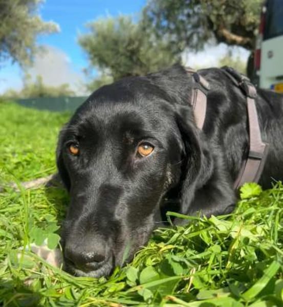 Moana sucht sportliche Menschen