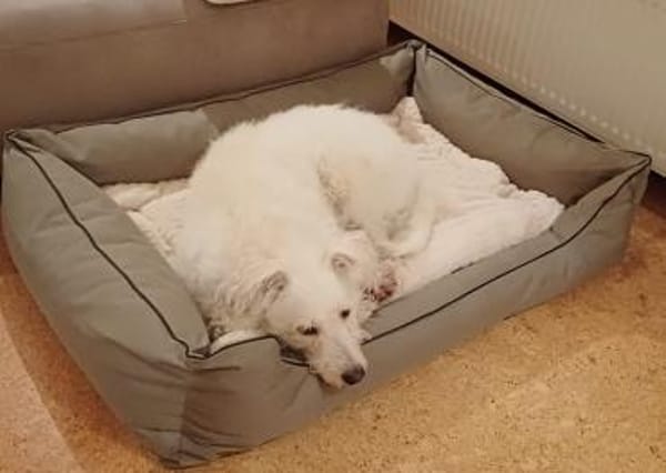 FiNDUS braucht Liebe u. Konsequenz 🙏