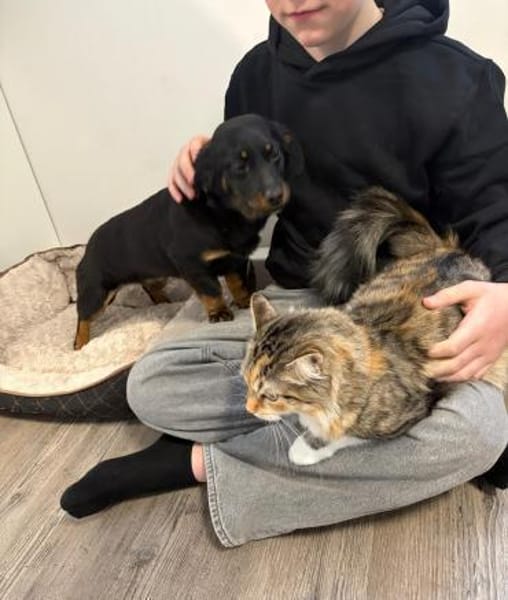 Skadi ❤ Pflegefamilie 41812 Erkelenz