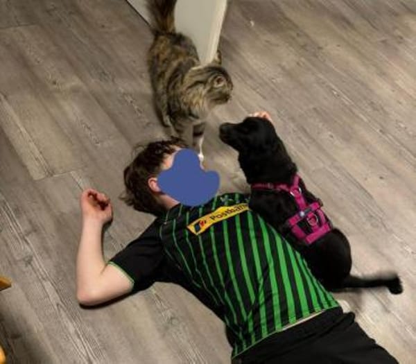 Skadi ❤ Pflegefamilie 41812 Erkelenz