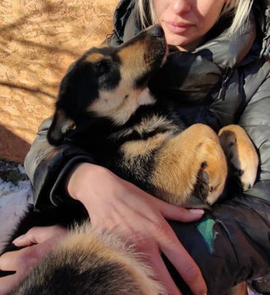 Lissy-perfekte Familienhündin in 82166