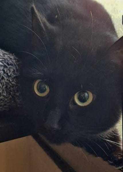 ***LUNA und MIMI!***