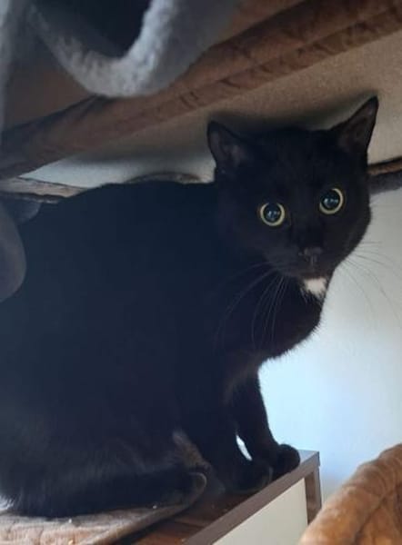 ***LUNA und MIMI!***