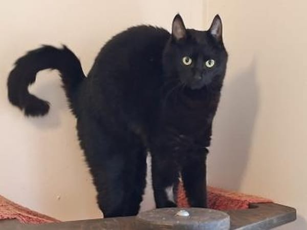 ***LUNA und MIMI!***