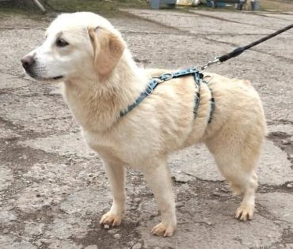 ❤Bonita  jung, klug und voller Liebe