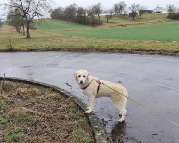 ❤Bonita  jung, klug und voller Liebe