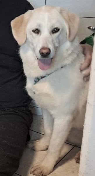 ❤Bonita  jung, klug und voller Liebe