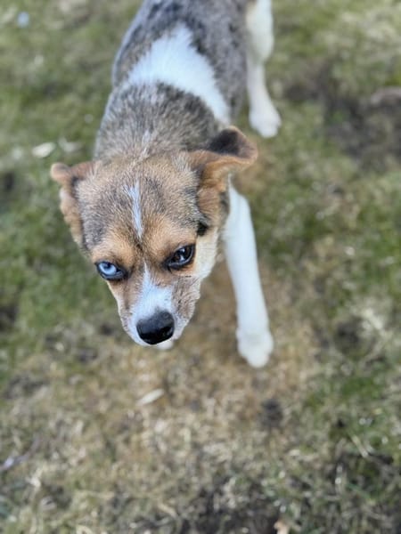 Kleine pfiffige Esther