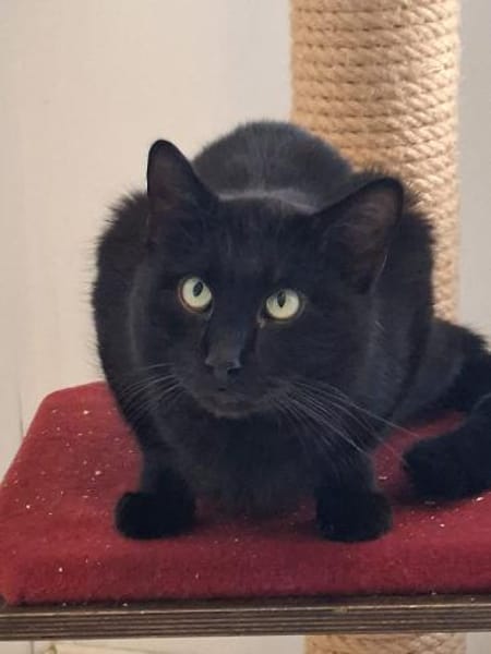 ***MOLLY und MONTY!***