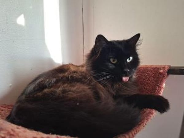 ***MOLLY und MONTY!***