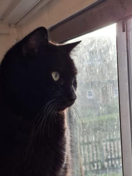 ***MOLLY und MONTY!***