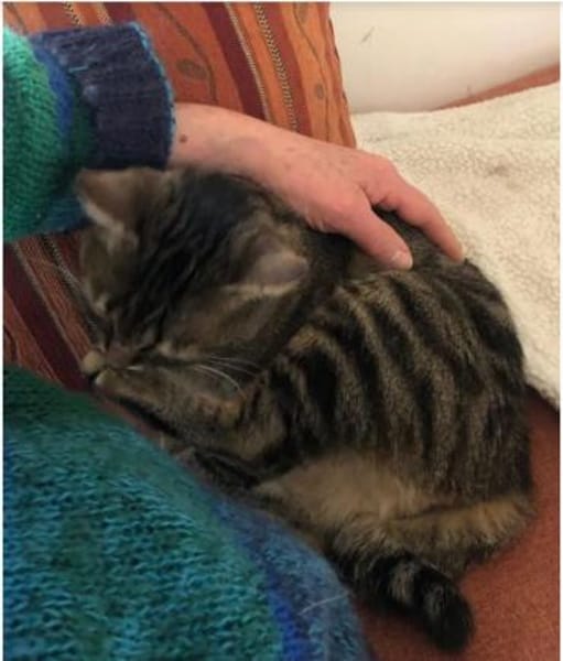 Reina-sozial, menschenbezogen & gutmütig