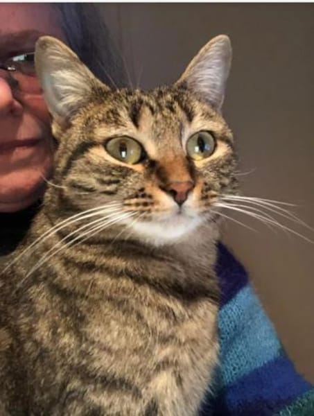 Reina-sozial, menschenbezogen & gutmütig