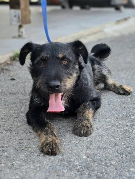 ❤ Roby Pflegefamilie Erkelenz